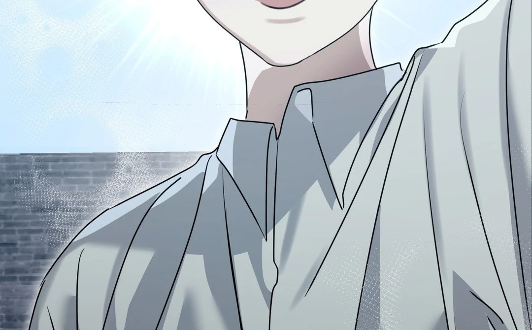 Blood Vessel Connection Chapter 3 page 38