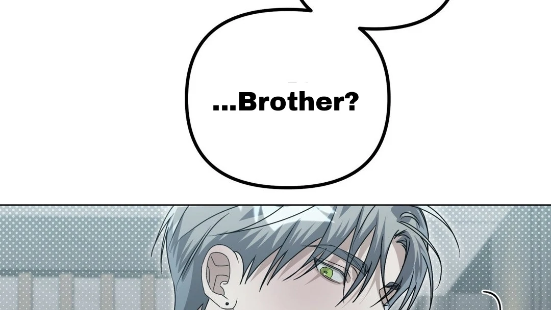 Blood Vessel Connection Chapter 3 page 49