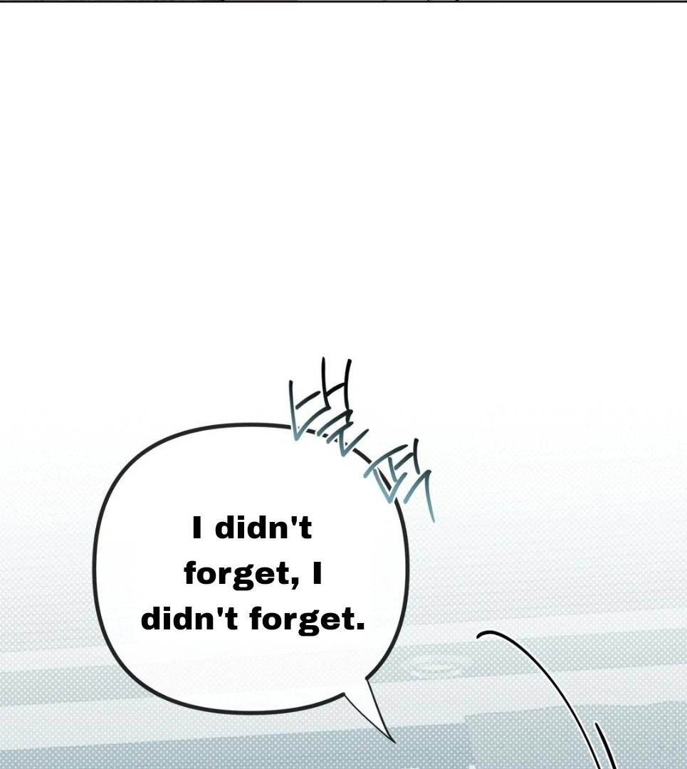 Blood Vessel Connection Chapter 3 page 57