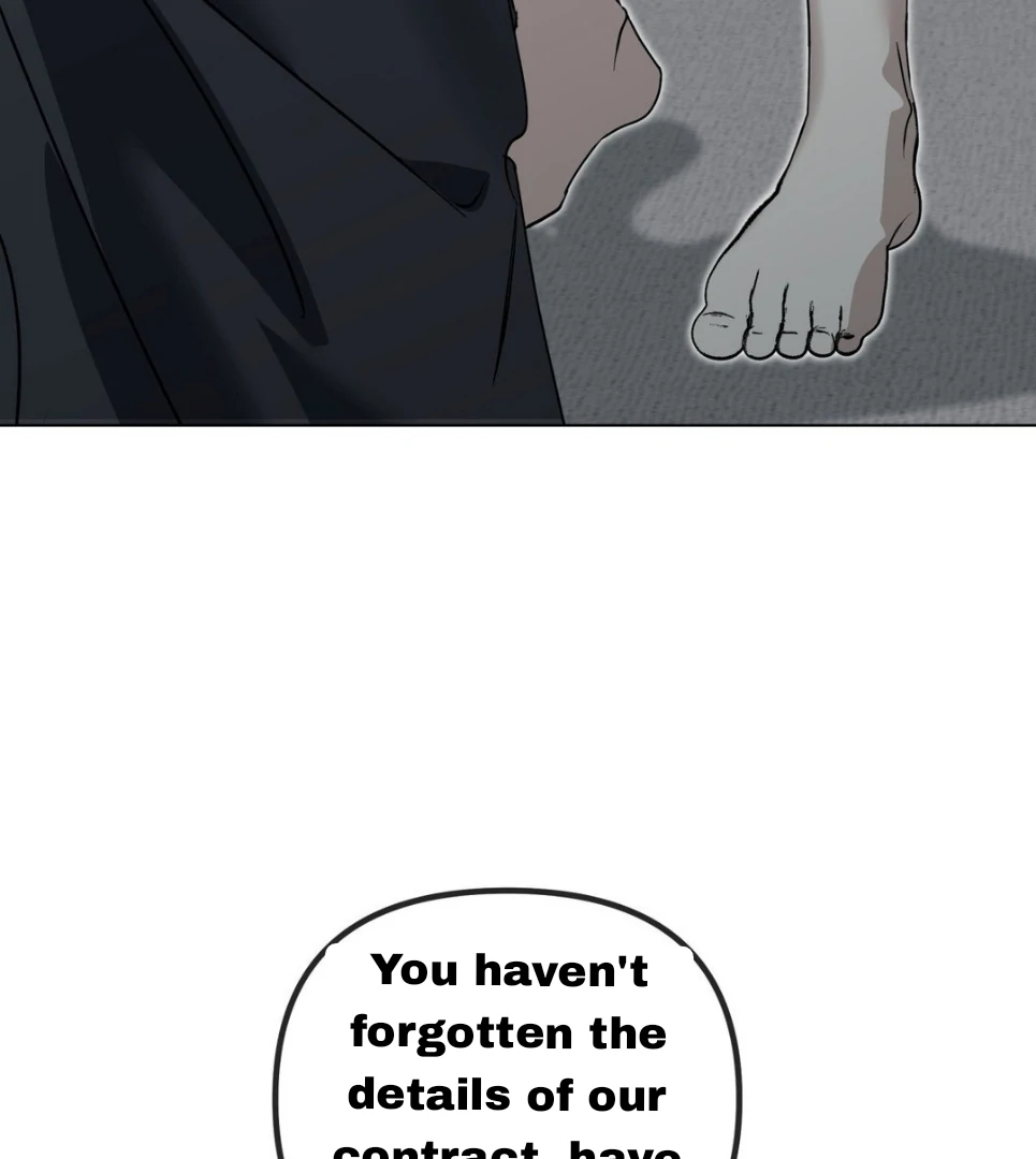Blood Vessel Connection Chapter 3 page 60