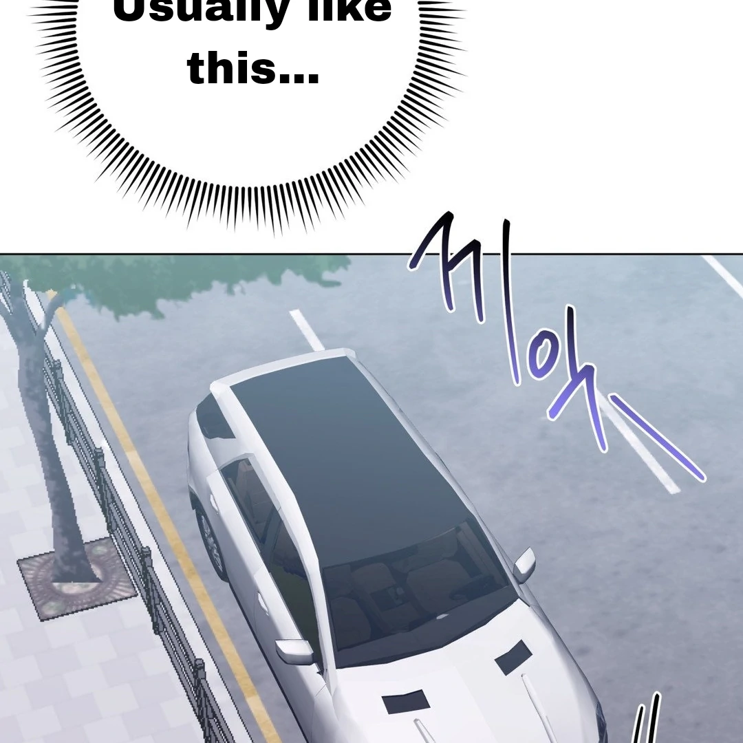 Blood Vessel Connection Chapter 3 page 81
