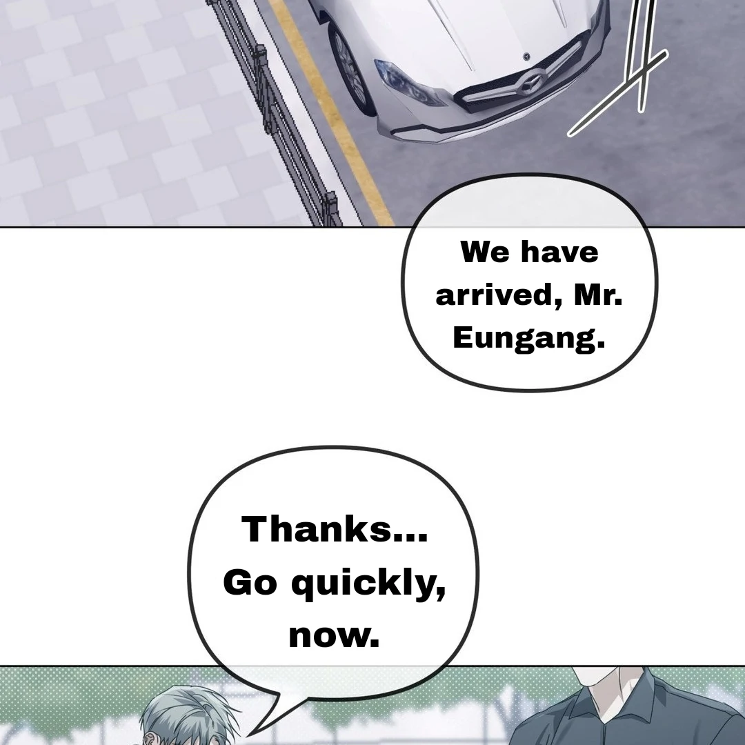 Blood Vessel Connection Chapter 3 page 82