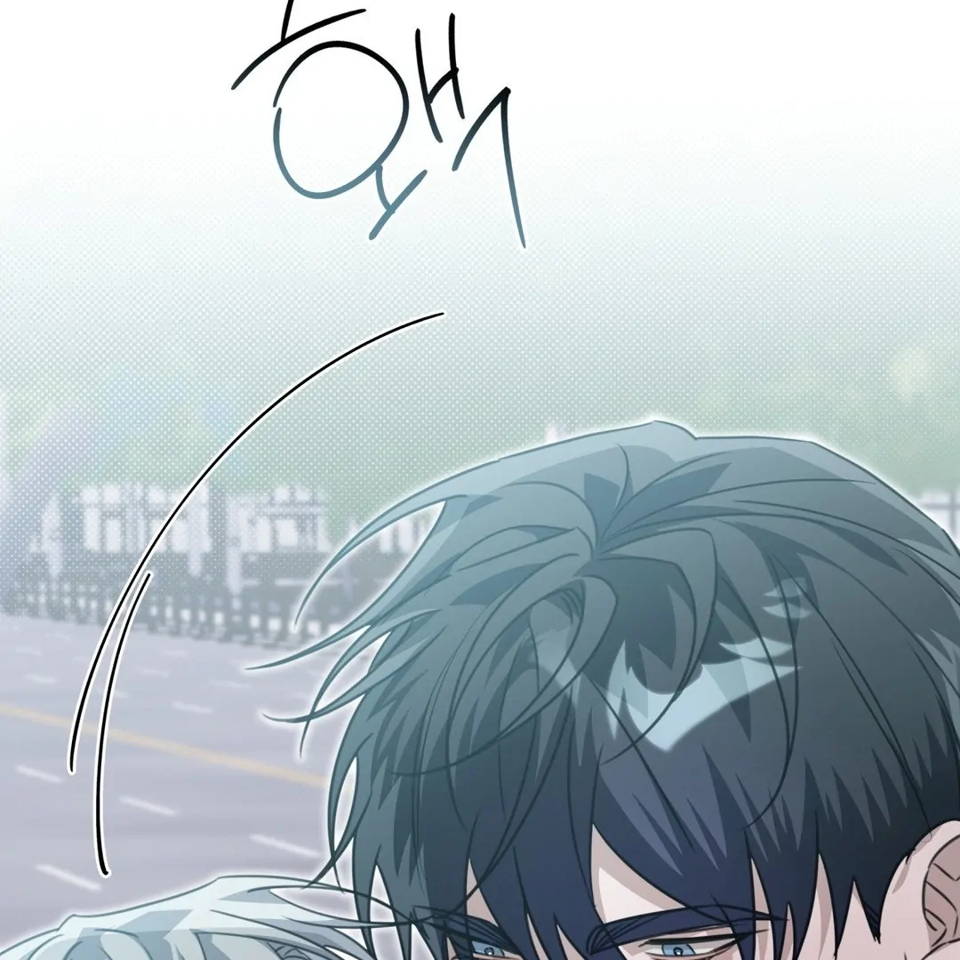 Blood Vessel Connection Chapter 3 page 84