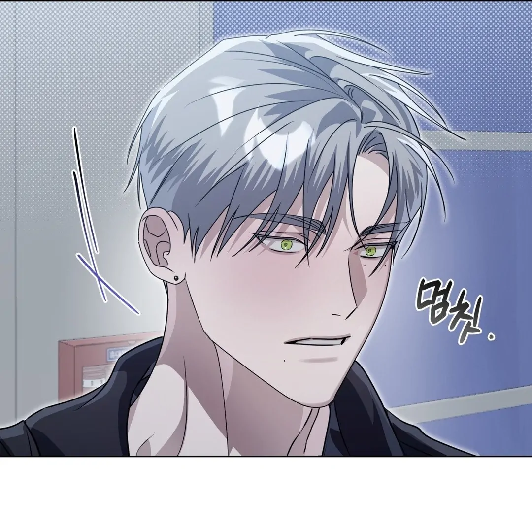 Blood Vessel Connection Chapter 3 page 93