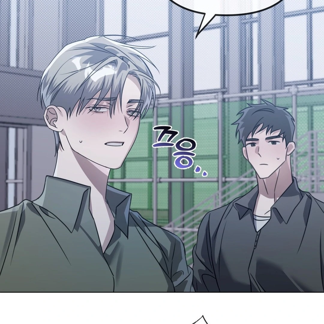 Blood Vessel Connection Chapter 3 page 99