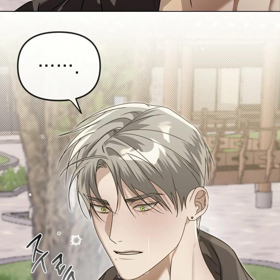 Blood Vessel Connection Chapter 3 page 131