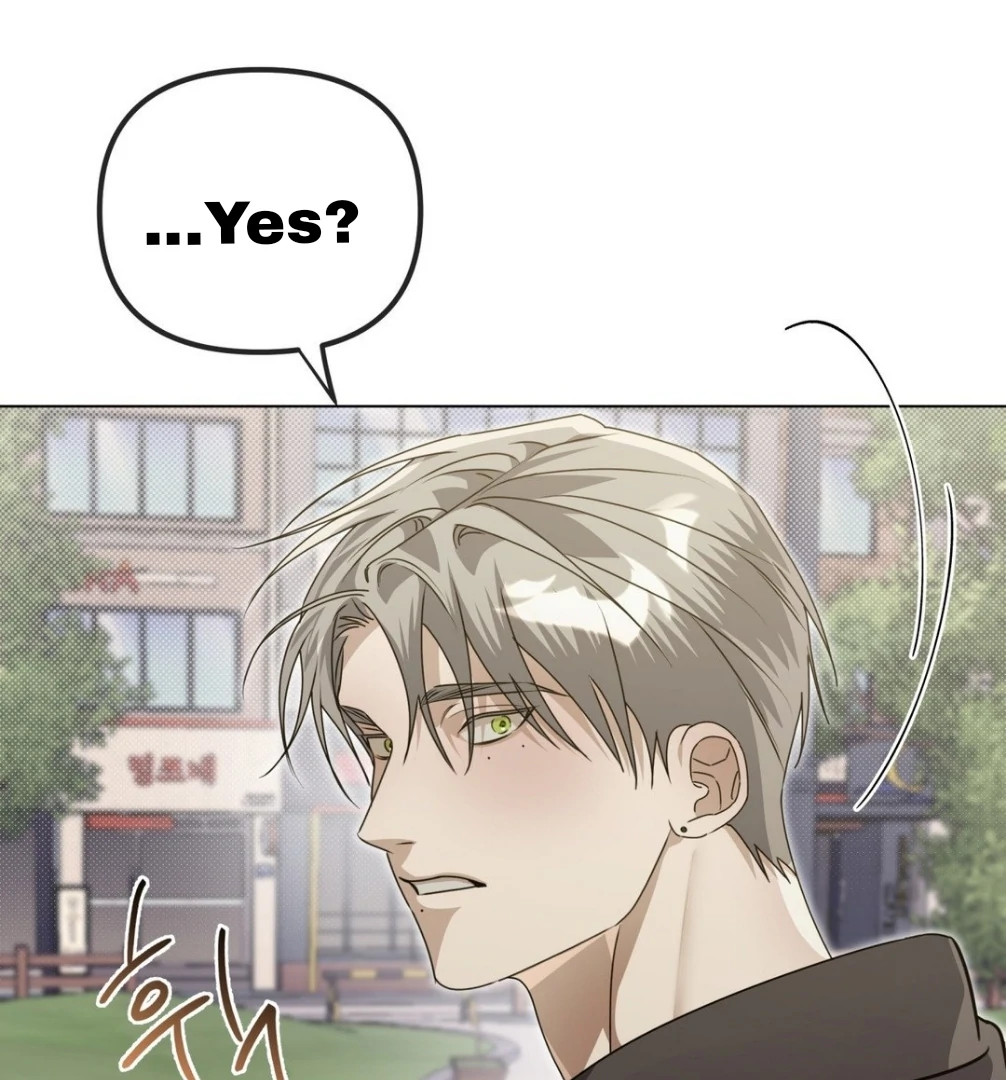 Blood Vessel Connection Chapter 3 page 139