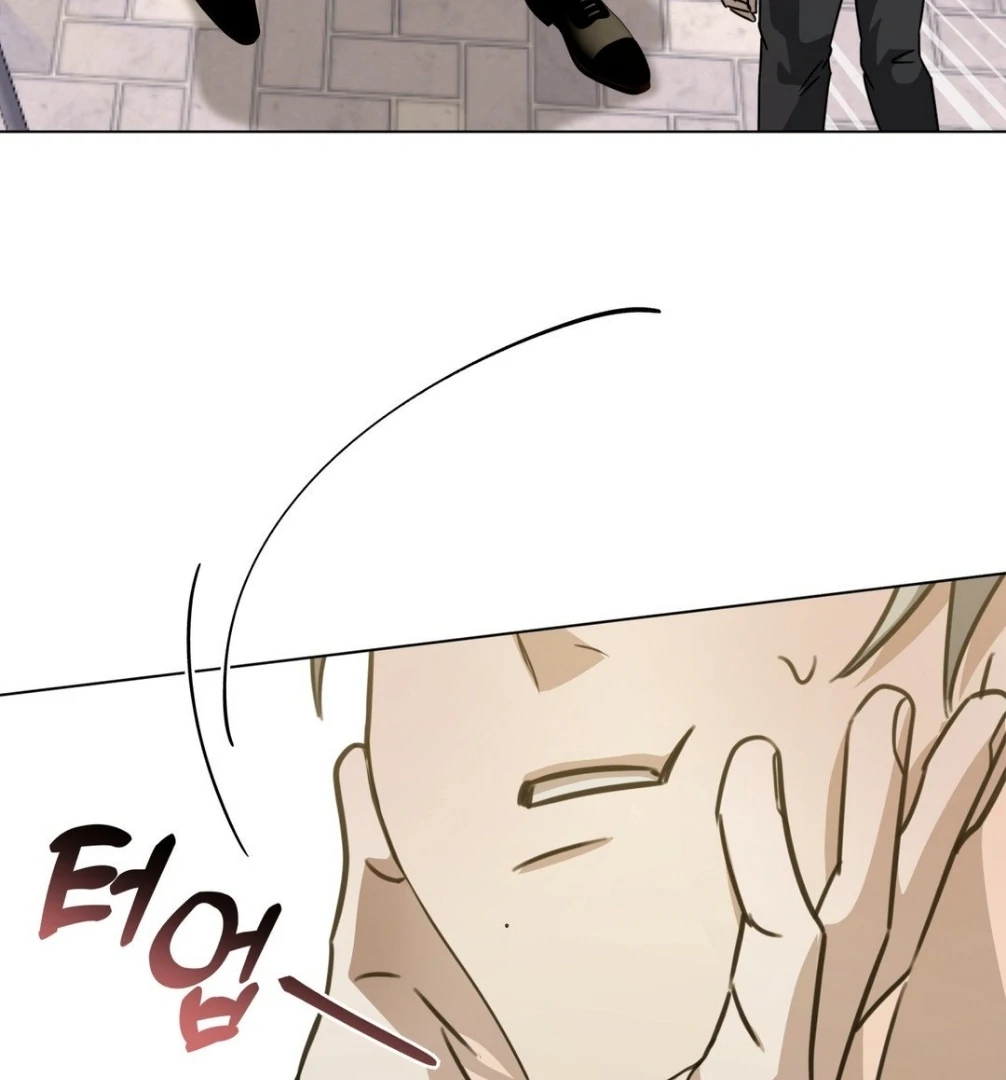 Blood Vessel Connection Chapter 3 page 142