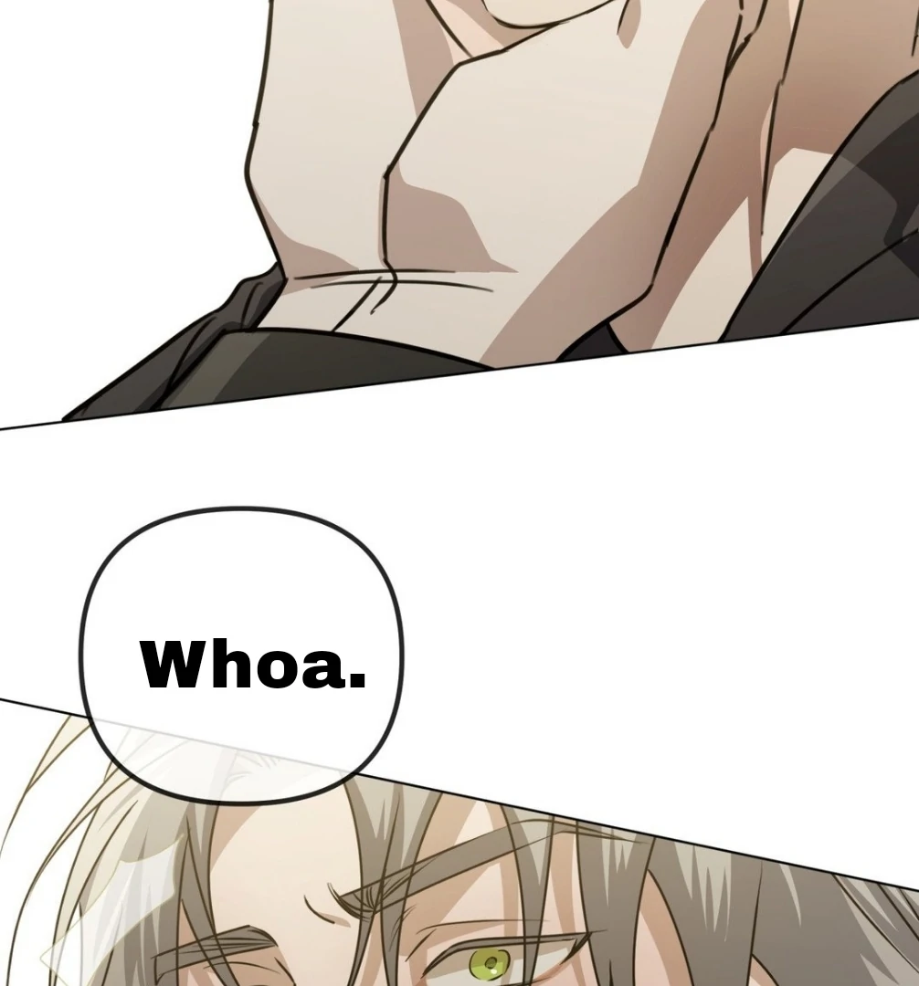 Blood Vessel Connection Chapter 3 page 143