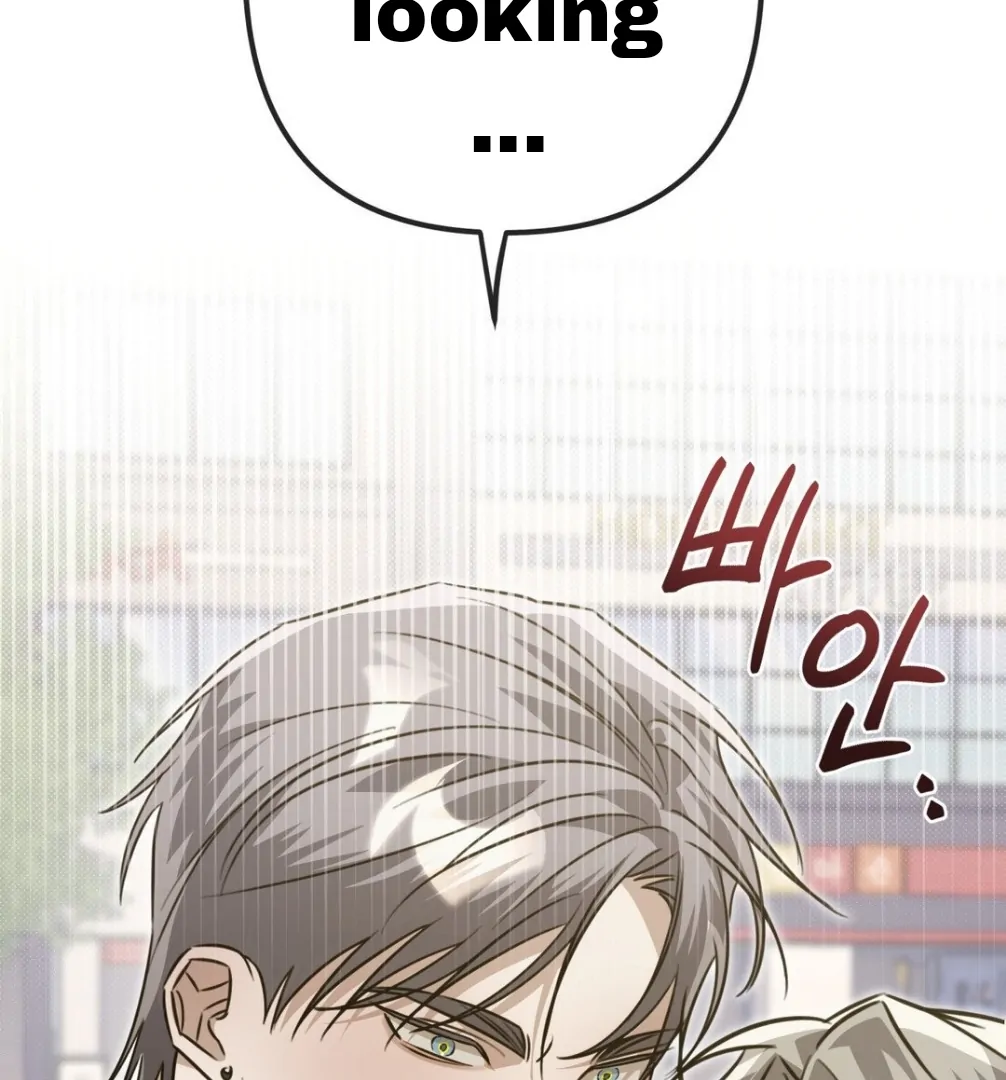 Blood Vessel Connection Chapter 3 page 145