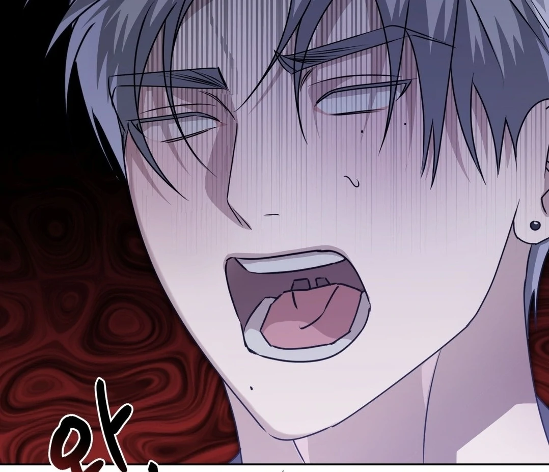 Blood Vessel Connection Chapter 4 page 15
