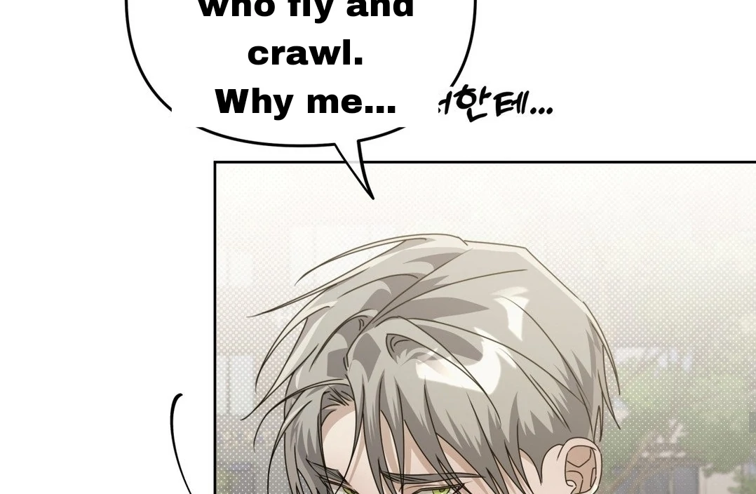 Blood Vessel Connection Chapter 4 page 33
