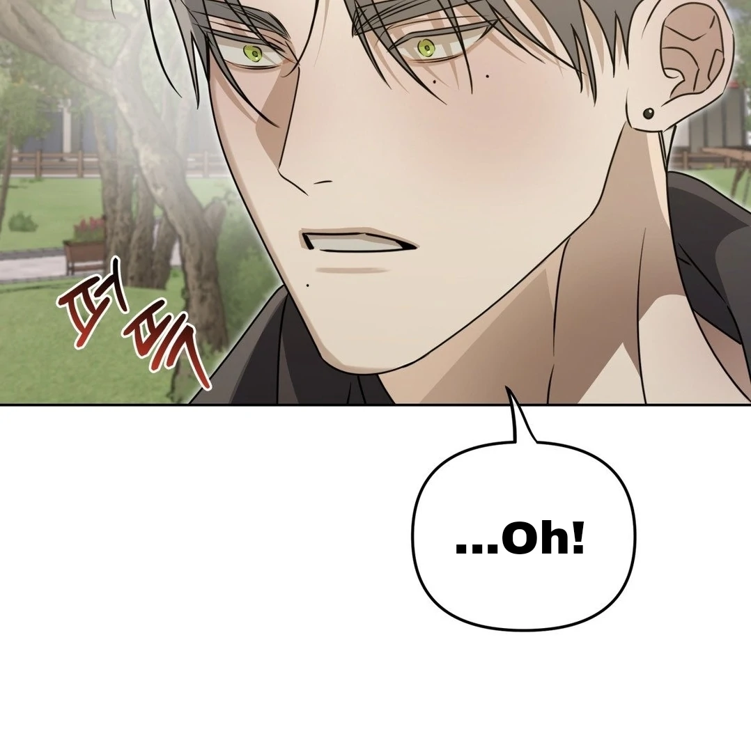 Blood Vessel Connection Chapter 4 page 38