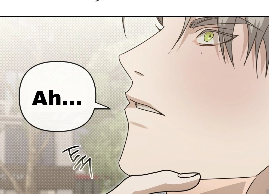 Blood Vessel Connection Chapter 4 page 43