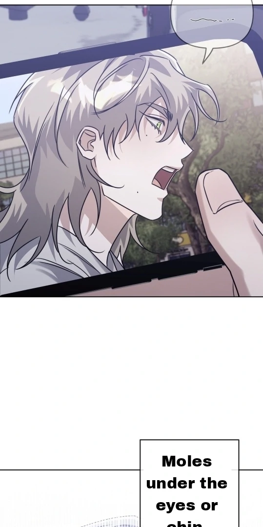 Blood Vessel Connection Chapter 4 page 102