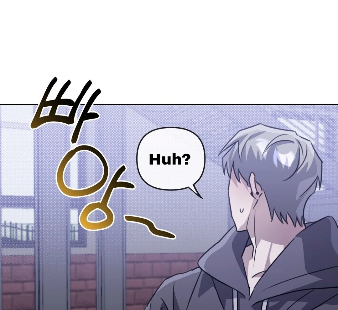 Blood Vessel Connection Chapter 4 page 111
