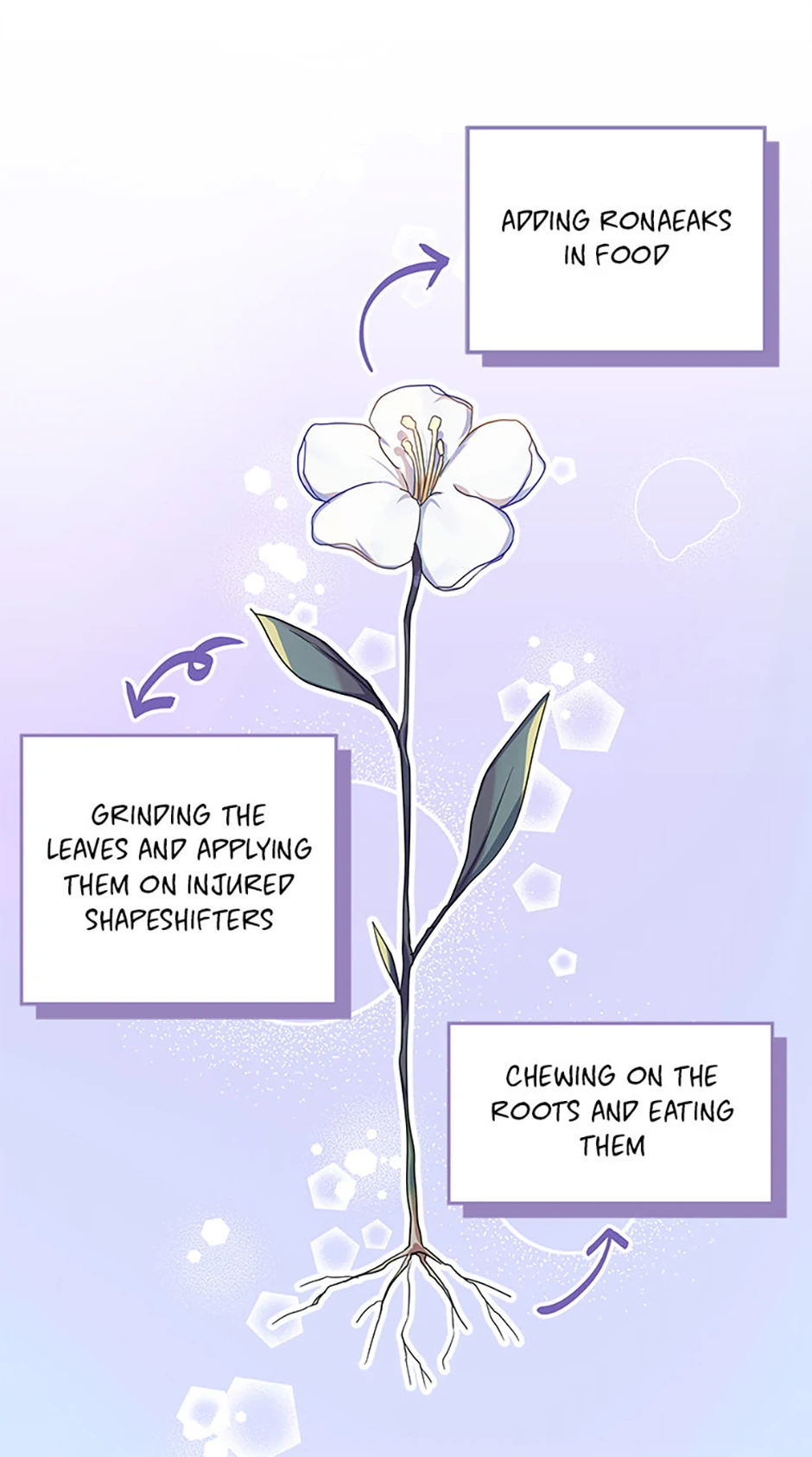 Bluebird Lady and The White Lion Family Chapter 26 page 40