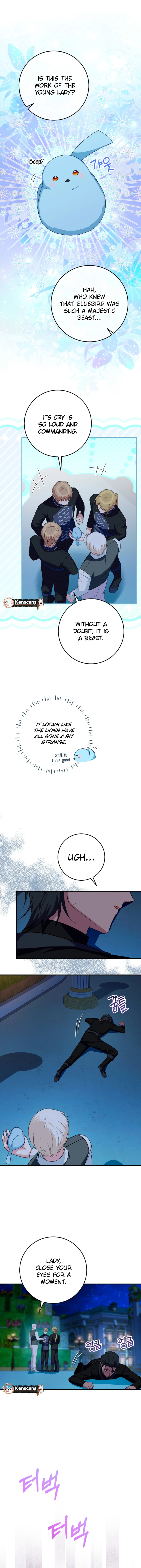 Bluebird Lady and The White Lion Family Chapter 55 page 13