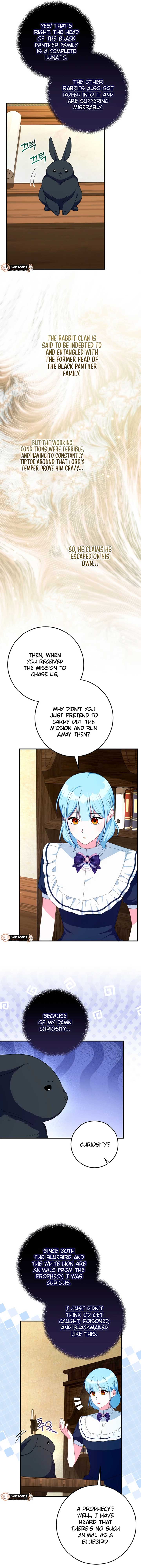 Bluebird Lady and The White Lion Family Chapter 60 page 12