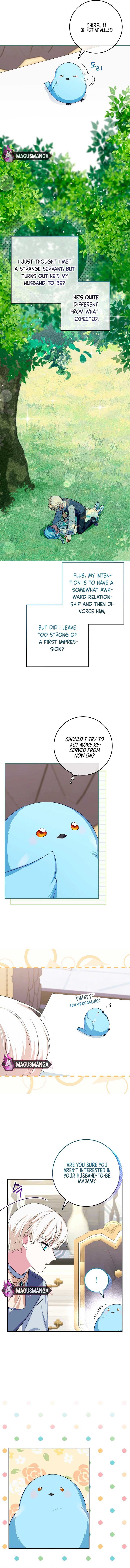 Bluebird Lady and The White Lion Family Chapter 8 page 9