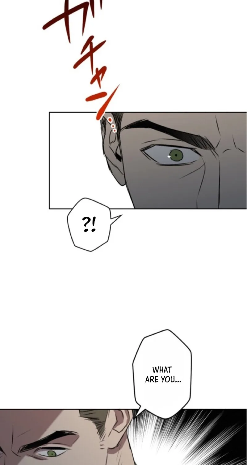 C-Class Esper's Memorandum Chapter 39 page 47