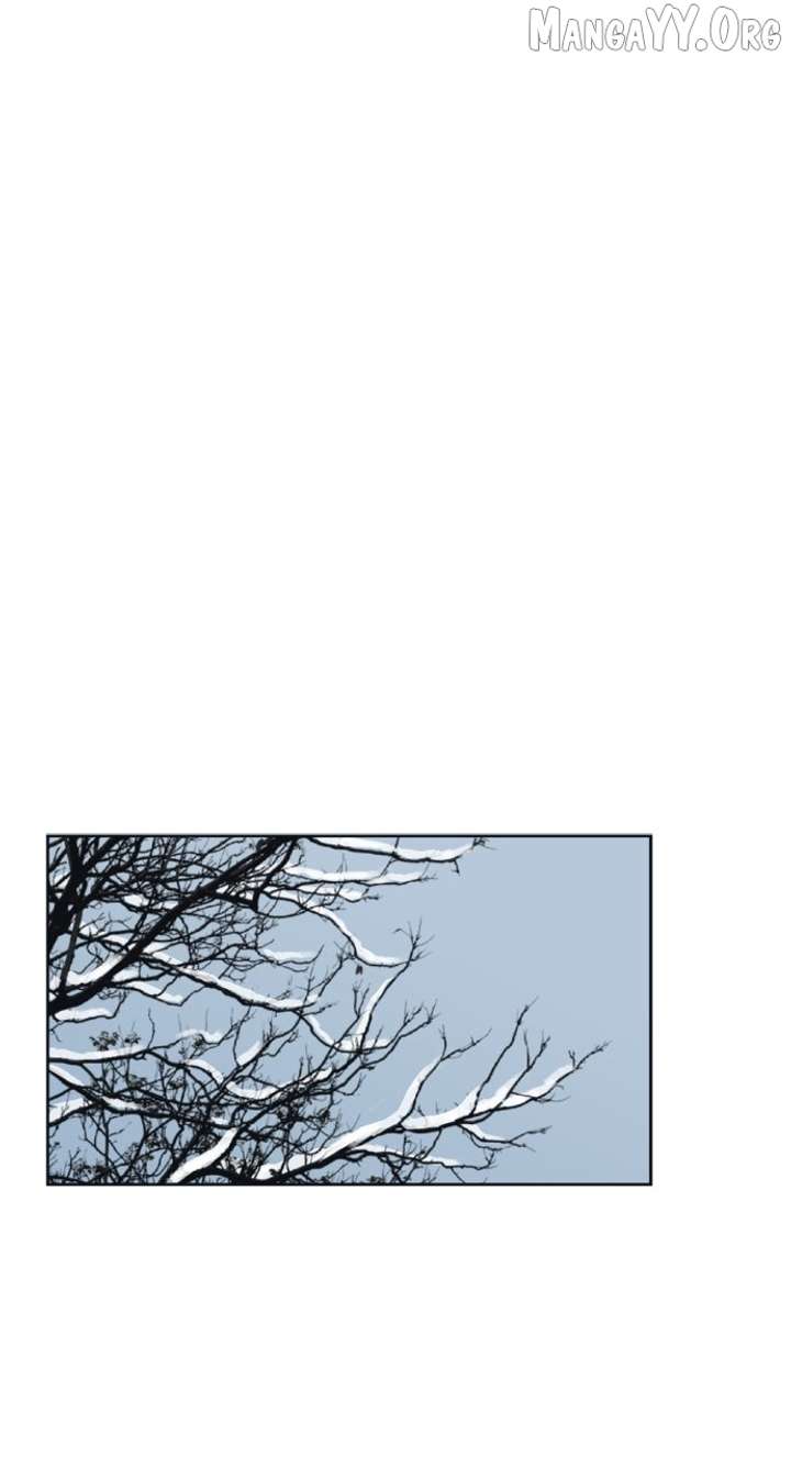 Certificate of Dignity Chapter 24 page 17