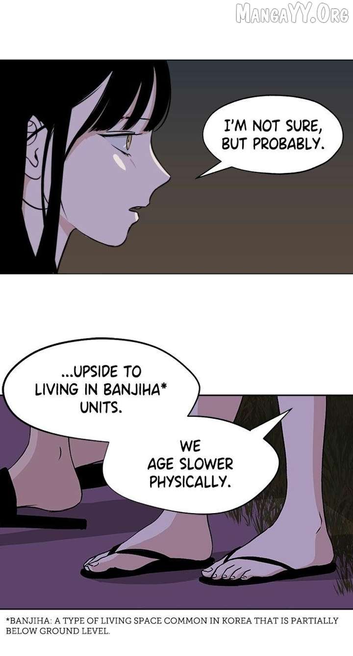 Certificate of Dignity Chapter 37 page 45