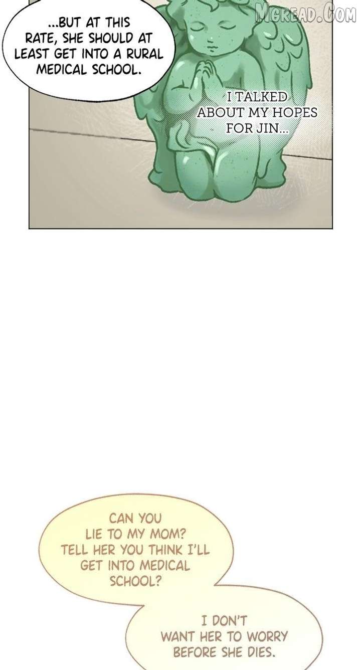 Certificate of Dignity Chapter 41 page 17