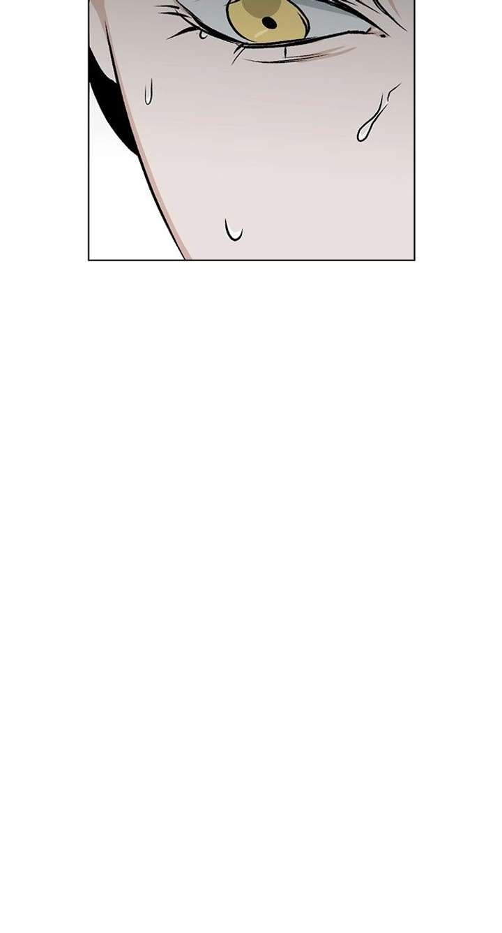 Certificate of Dignity Chapter 45 page 62