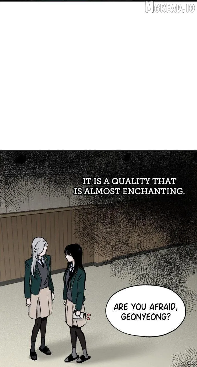 Certificate of Dignity Chapter 50 page 57