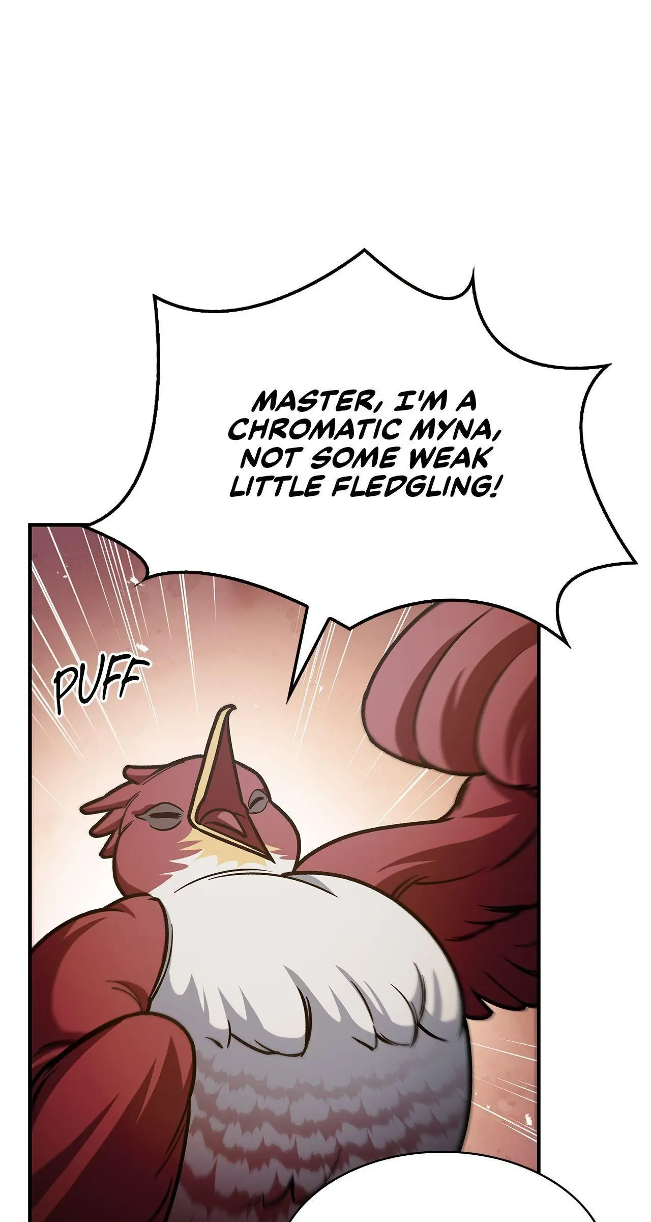 Cheonhwa Archive's Young Master Chapter 76 page 11