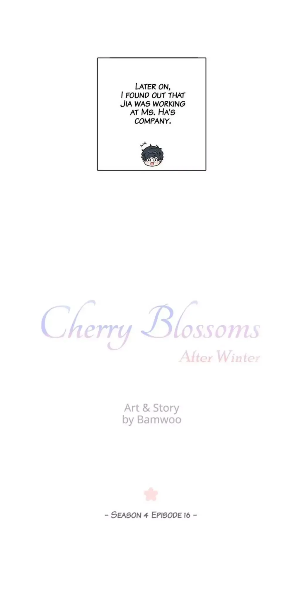 Cherry Blossoms After Winter Chapter 106 page 13