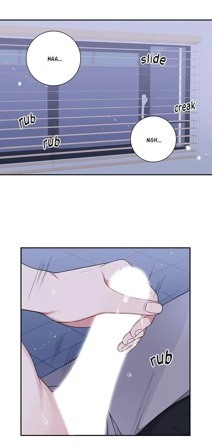 Cherry Blossoms After Winter Chapter 115 page 23