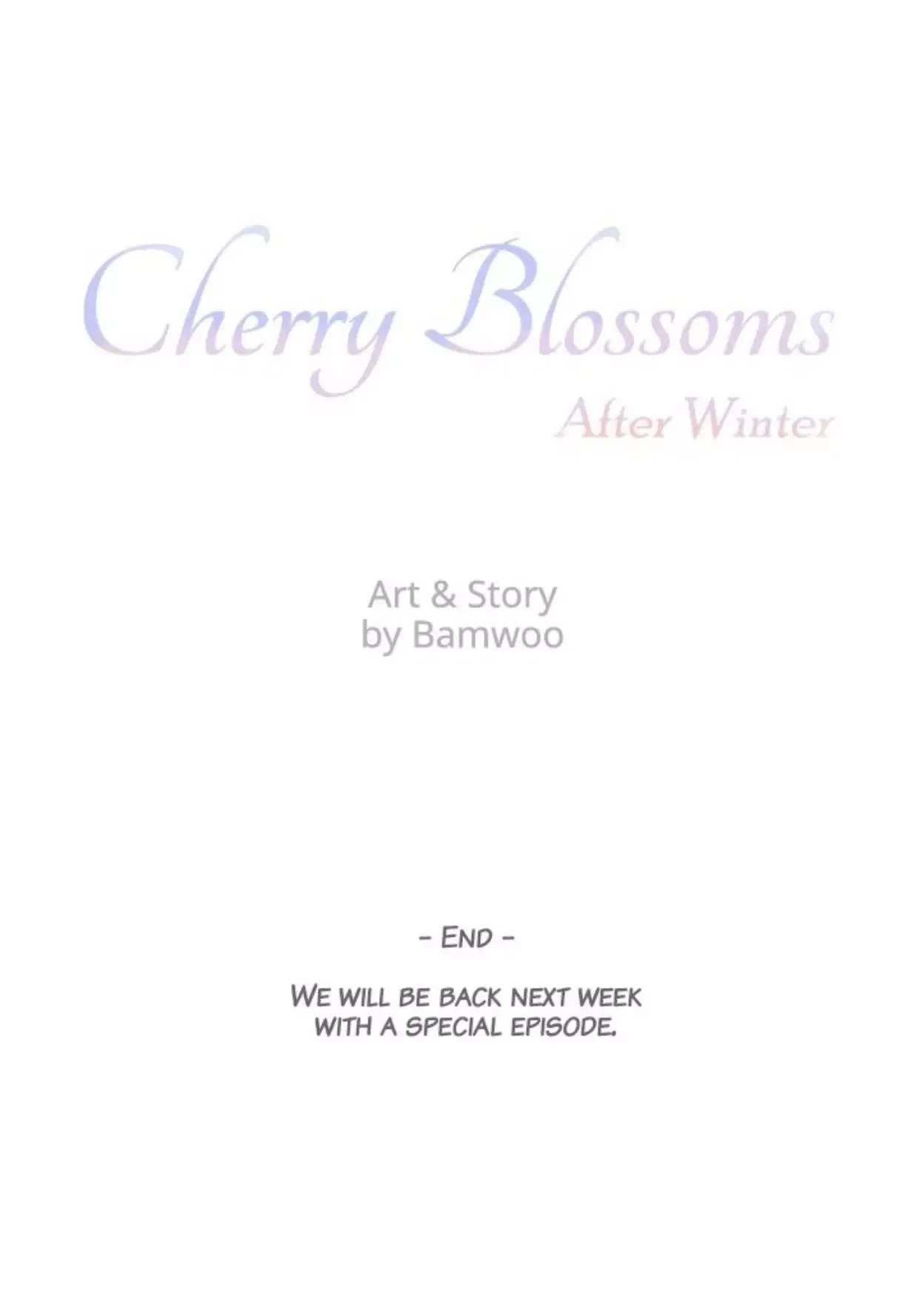 Cherry Blossoms After Winter Chapter 146 page 88