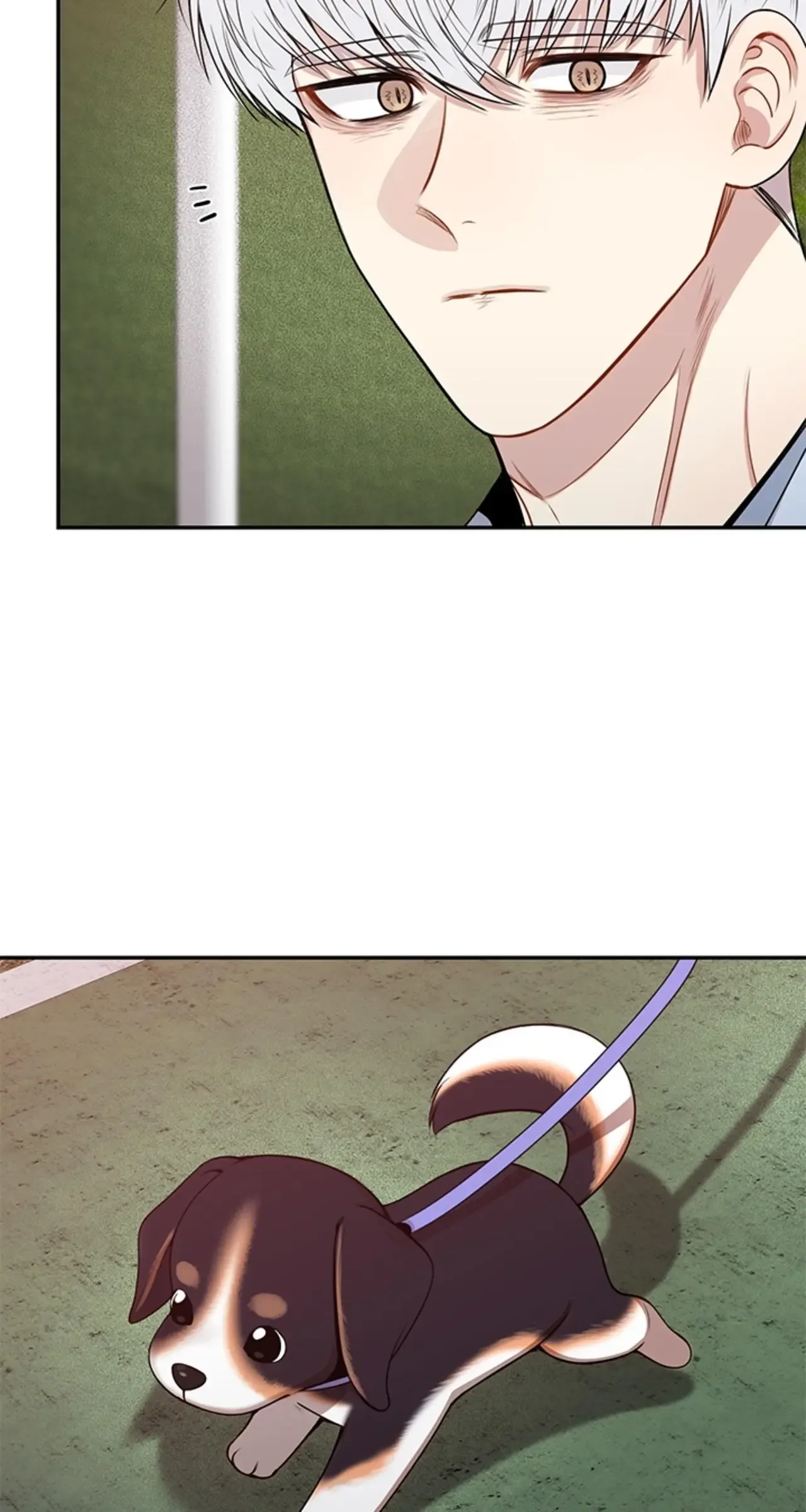 Cherry Blossoms After Winter Chapter 151 page 18