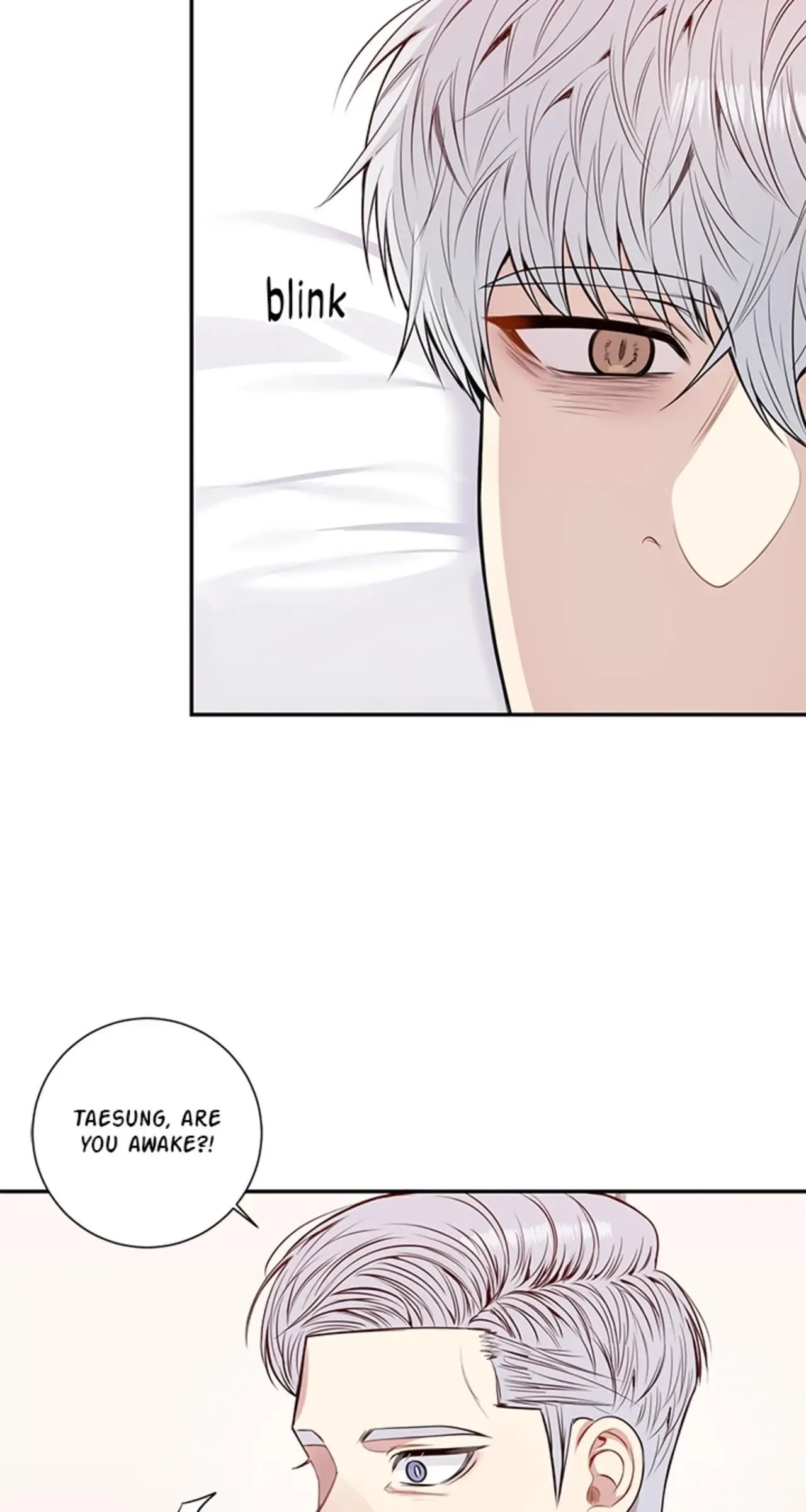 Cherry Blossoms After Winter Chapter 151 page 42