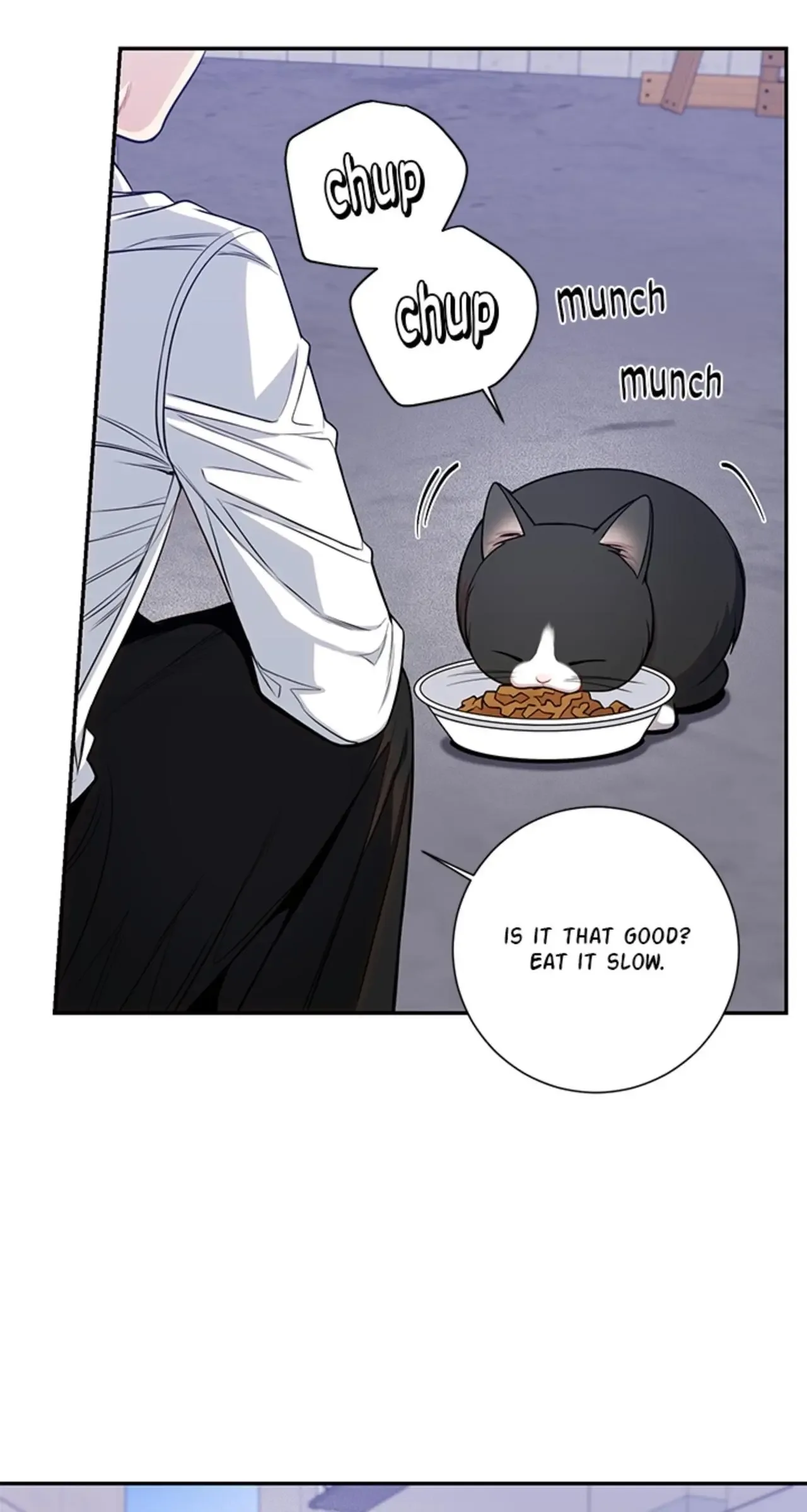 Cherry Blossoms After Winter Chapter 152 page 38