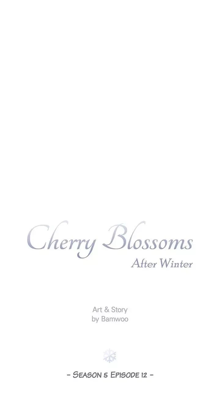 Cherry Blossoms After Winter Chapter 158 page 14