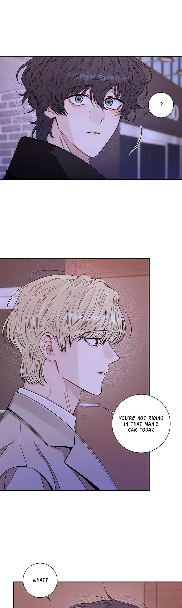 Cherry Blossoms After Winter Chapter 161 page 18