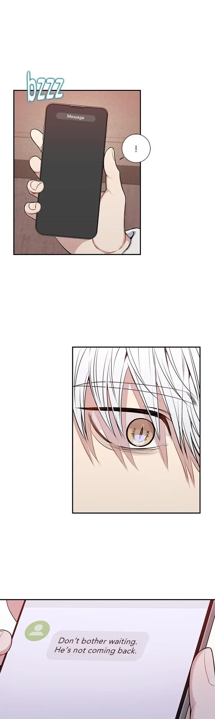 Cherry Blossoms After Winter Chapter 165 page 11