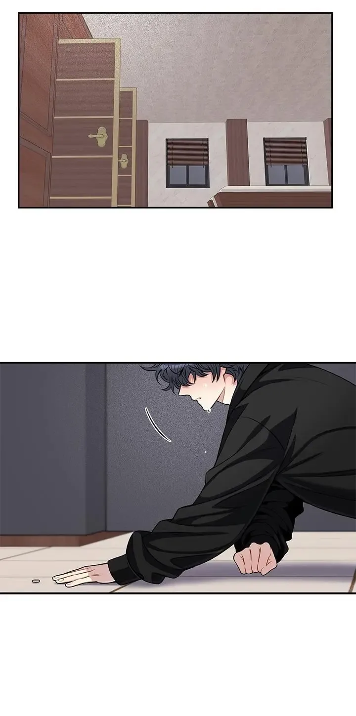 Cherry Blossoms After Winter Chapter 165 page 41