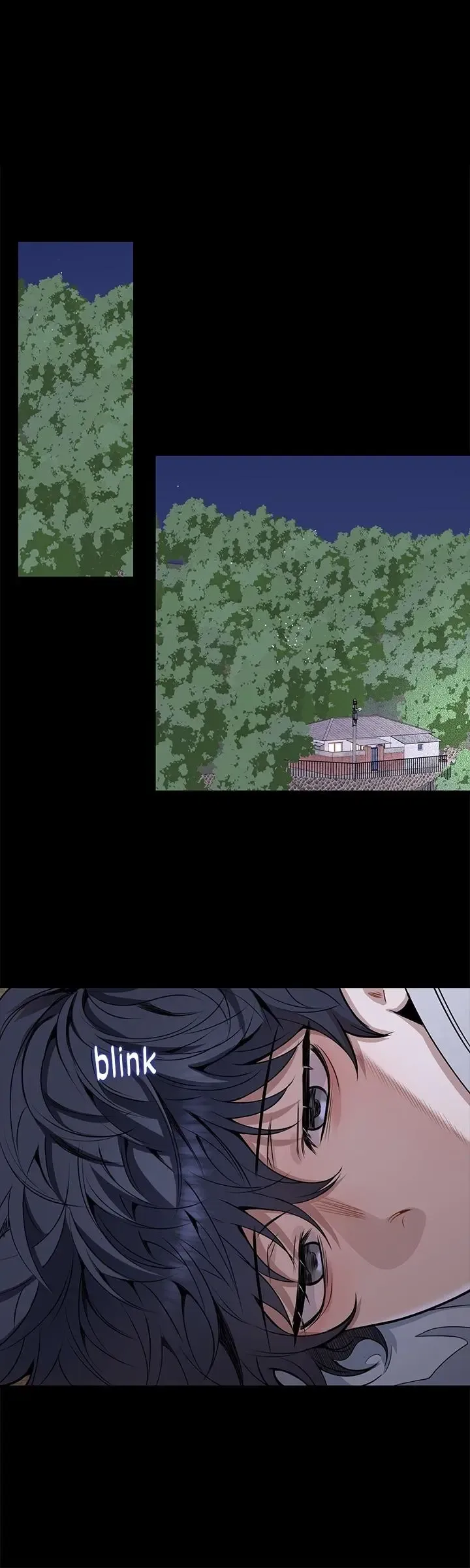Cherry Blossoms After Winter Chapter 170 page 11
