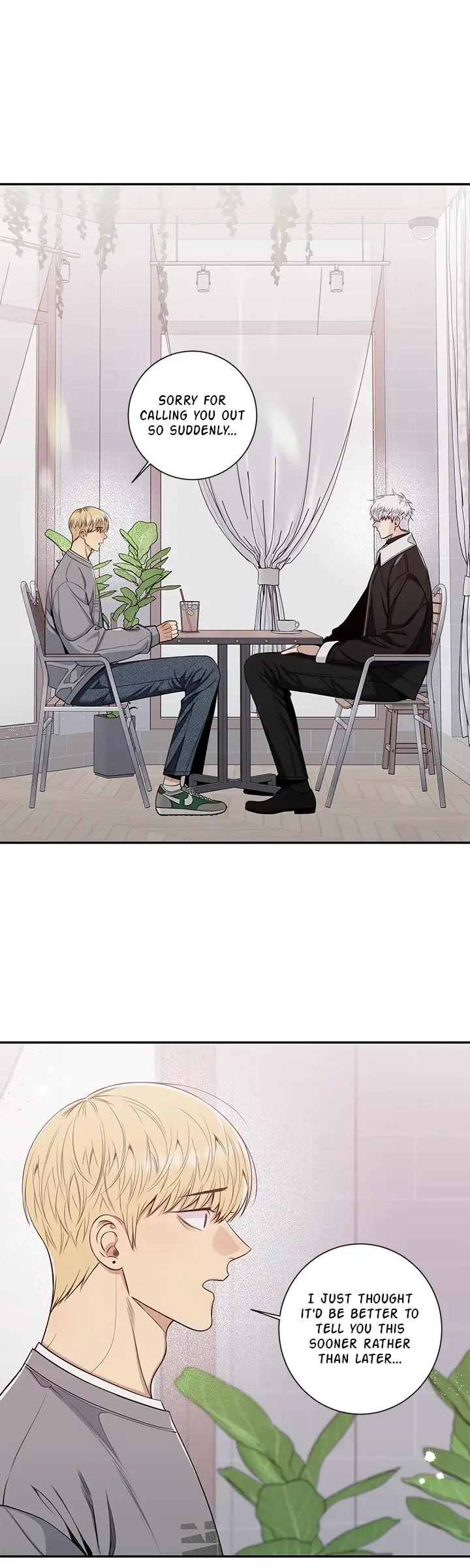 Cherry Blossoms After Winter Chapter 173 page 8
