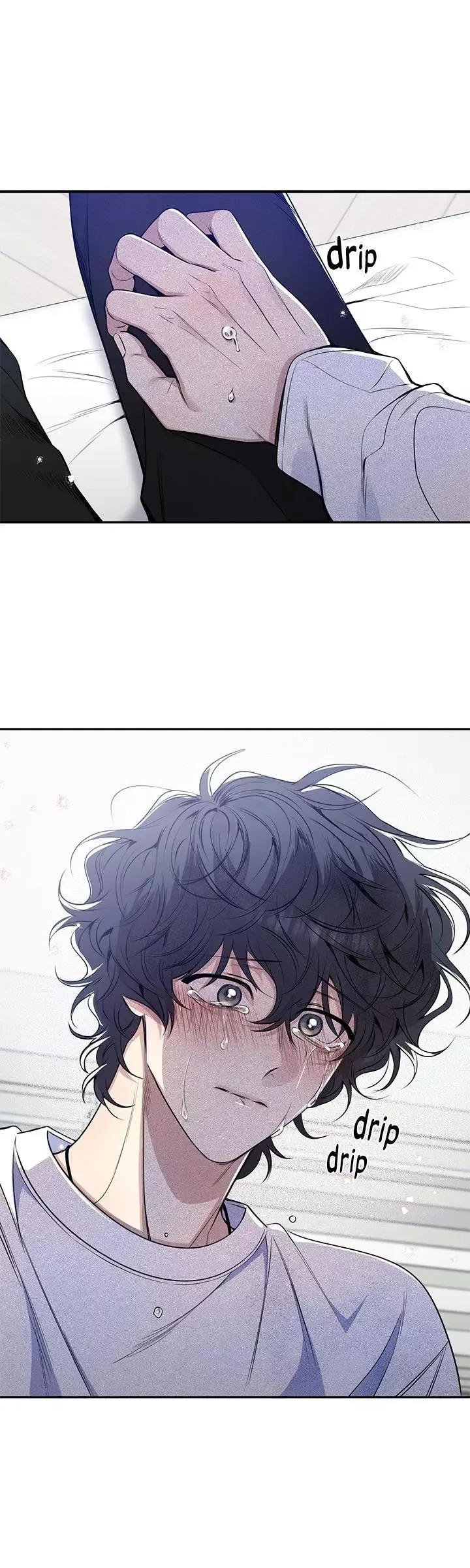Cherry Blossoms After Winter Chapter 177 page 14