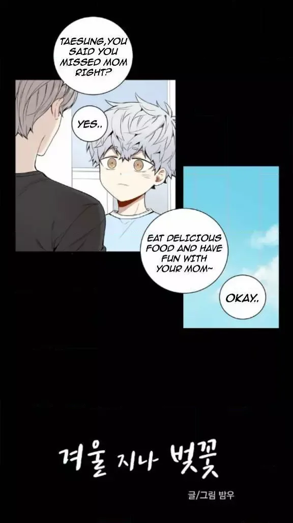 Cherry Blossoms After Winter Chapter 20 page 4