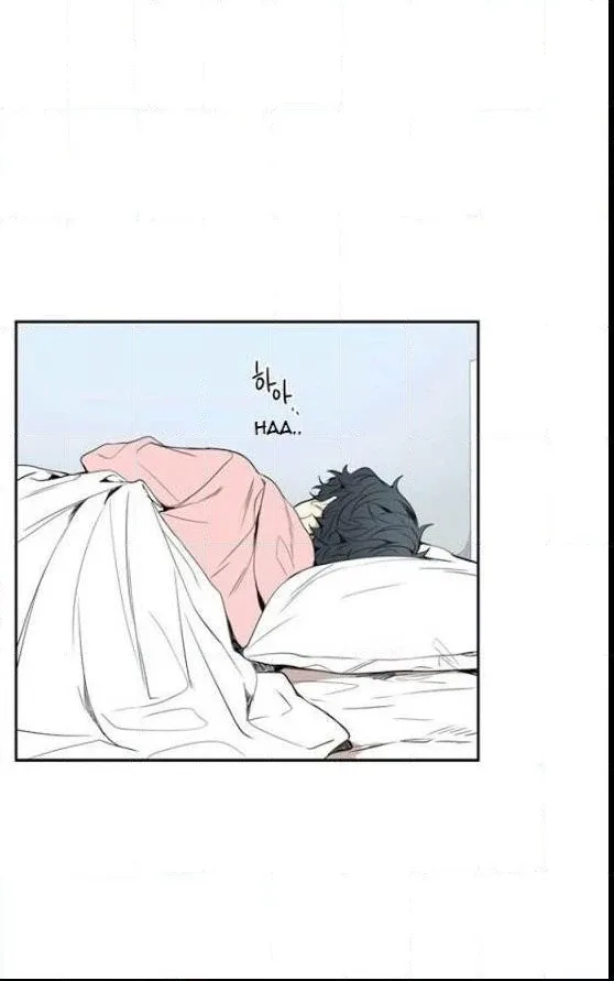Cherry Blossoms After Winter Chapter 27 page 11