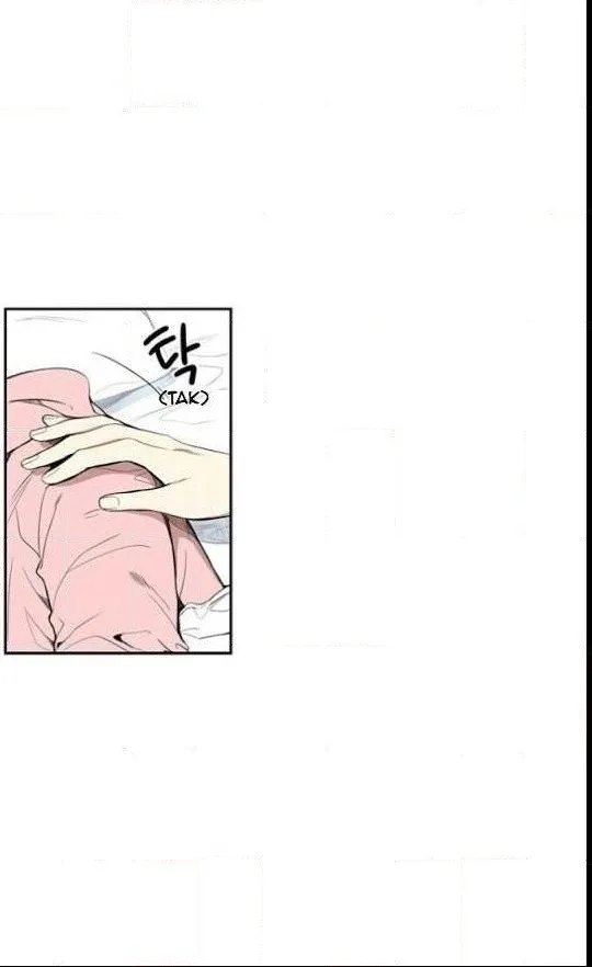 Cherry Blossoms After Winter Chapter 27 page 13