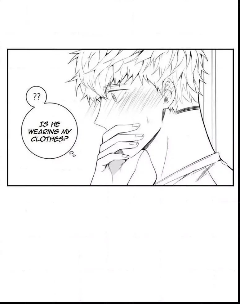 Cherry Blossoms After Winter Chapter 30.5 page 14