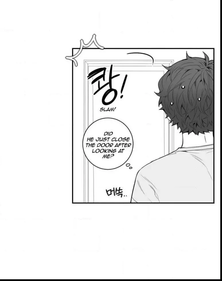 Cherry Blossoms After Winter Chapter 30.5 page 13