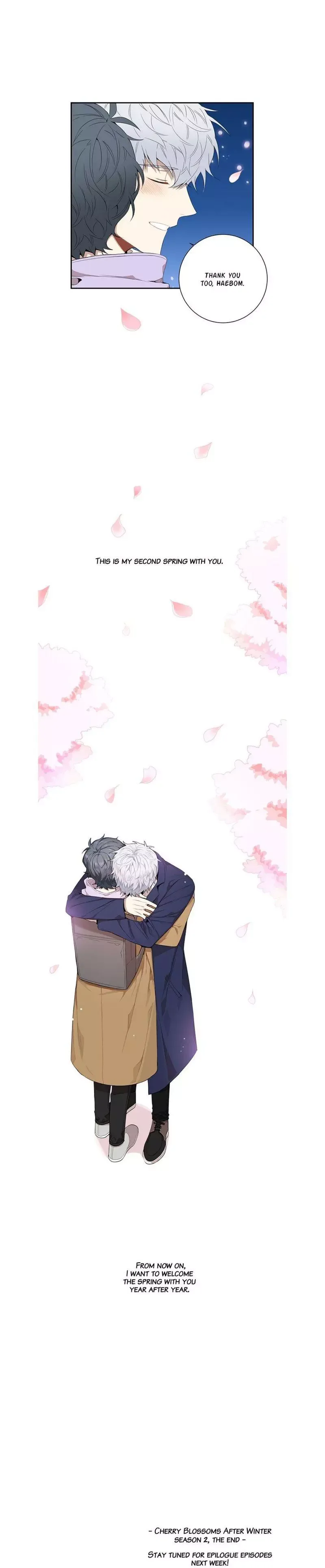 Cherry Blossoms After Winter Chapter 62 page 13
